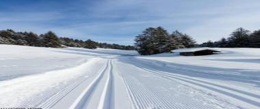 个性化训练测评服务